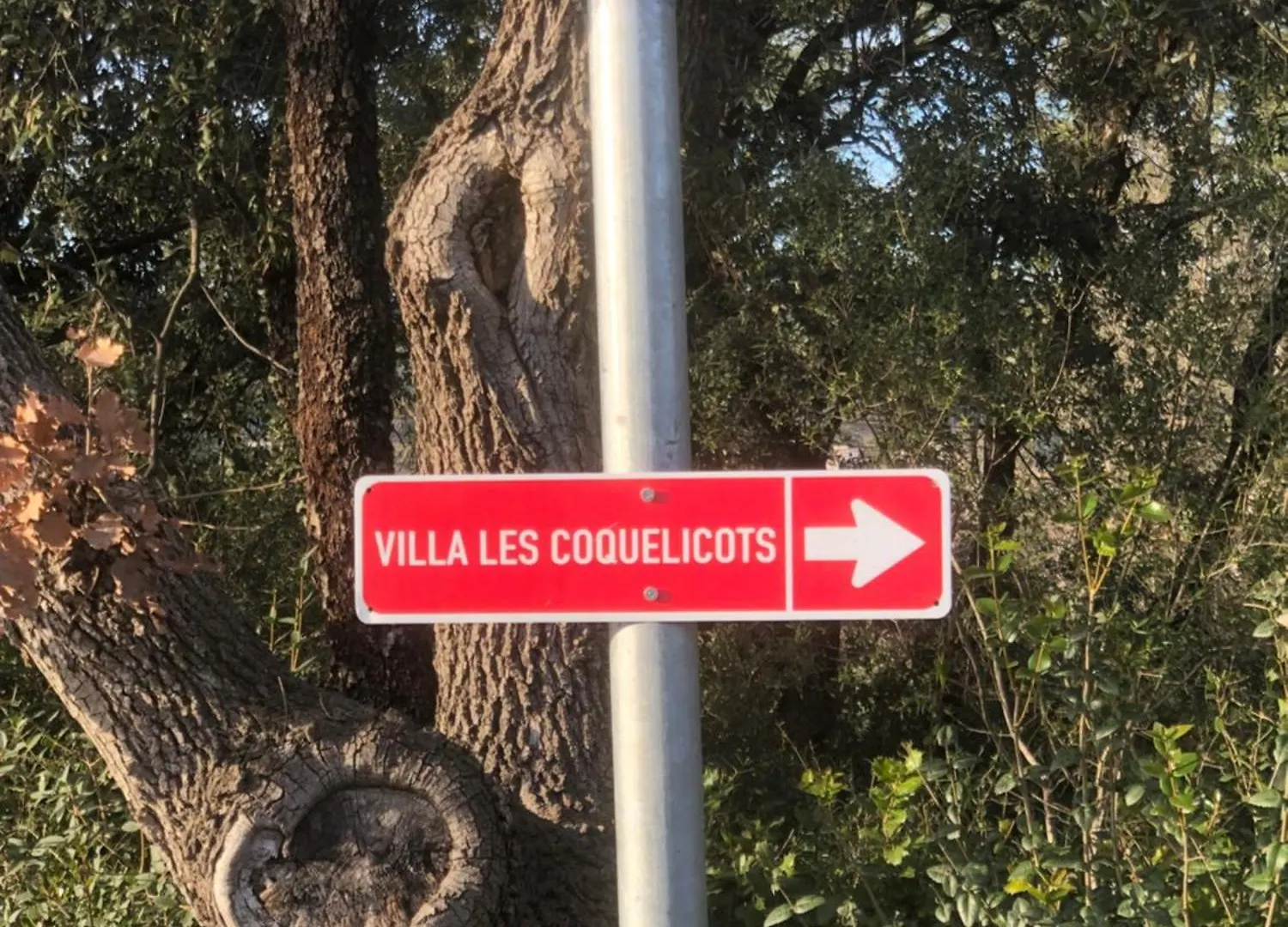 T2 Aile De Villa Et Spa-Jacuzzi Prive Et Illimite Et Plateau D'Acceuil Offert! Camps-la-Source France